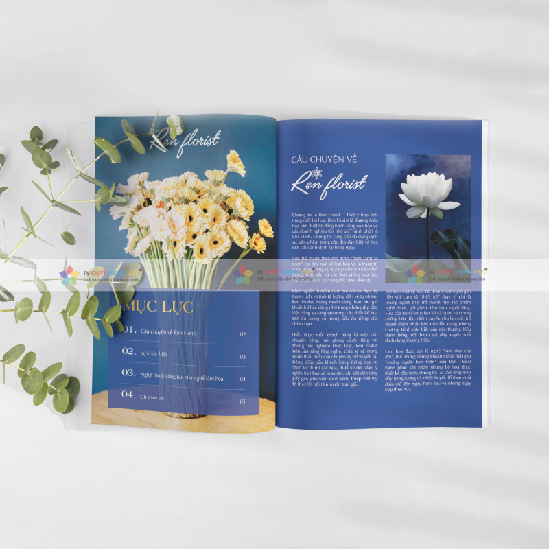 Bí Quyết Thiết Kế Catalogue Chuyên Nghiệp 2025