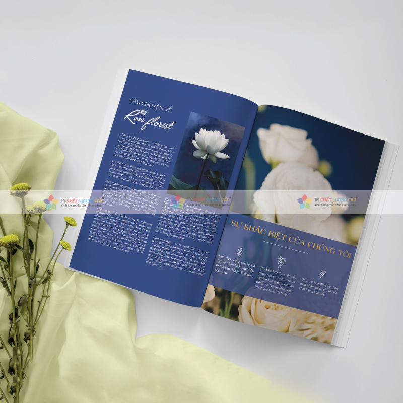 Bí Quyết Thiết Kế Catalogue Chuyên Nghiệp 2025